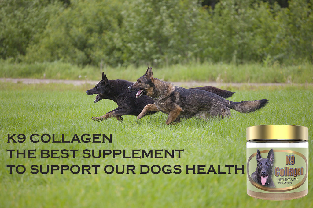 K9 Collagen Healthy Joints: Best Dog Joint Supplement